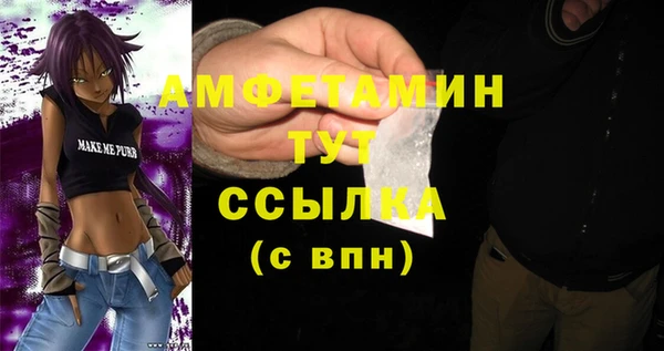 спиды Богородск