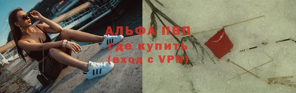 спиды Богородск