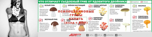 МДПВ Богданович