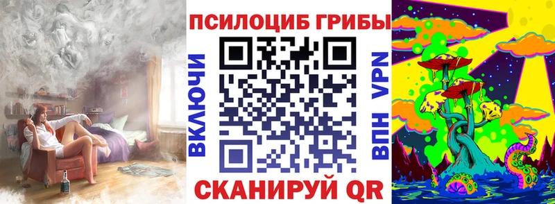 Псилоцибиновые грибы Cubensis  Купить закладки  Лебедянь 